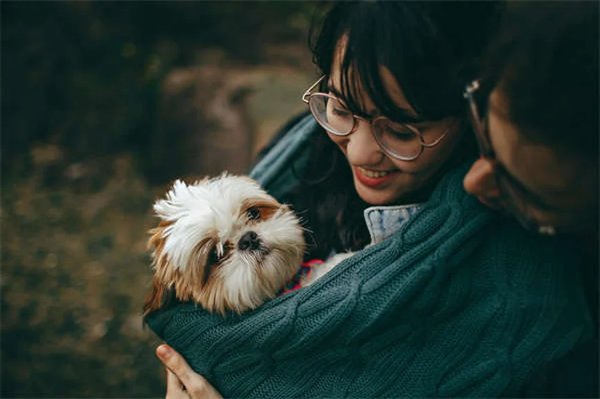 Why Does My Dog Bark So Much? 5 Common Reasons & Fixes